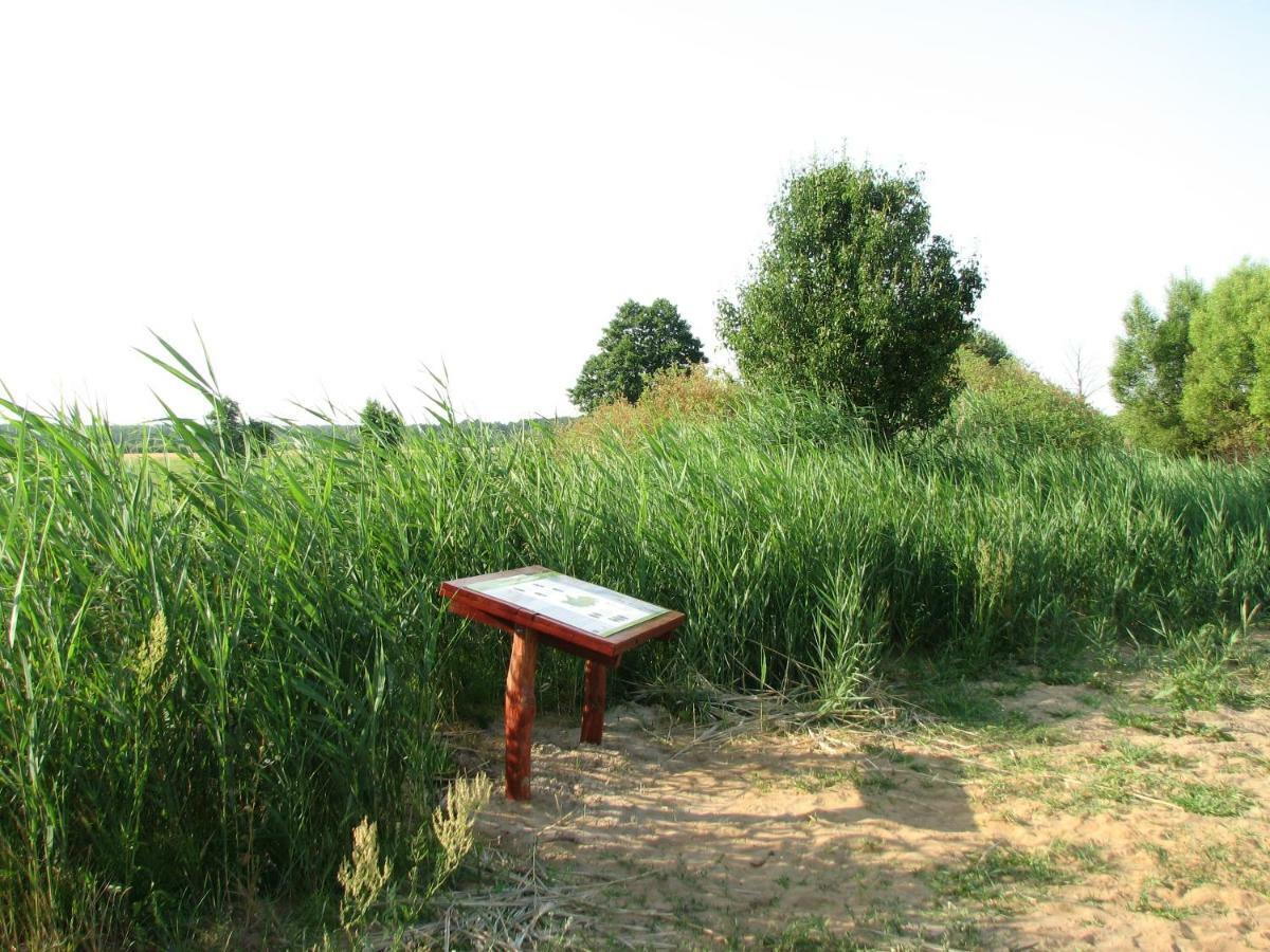 Strefa Kampinos Vila Brochów Exterior foto