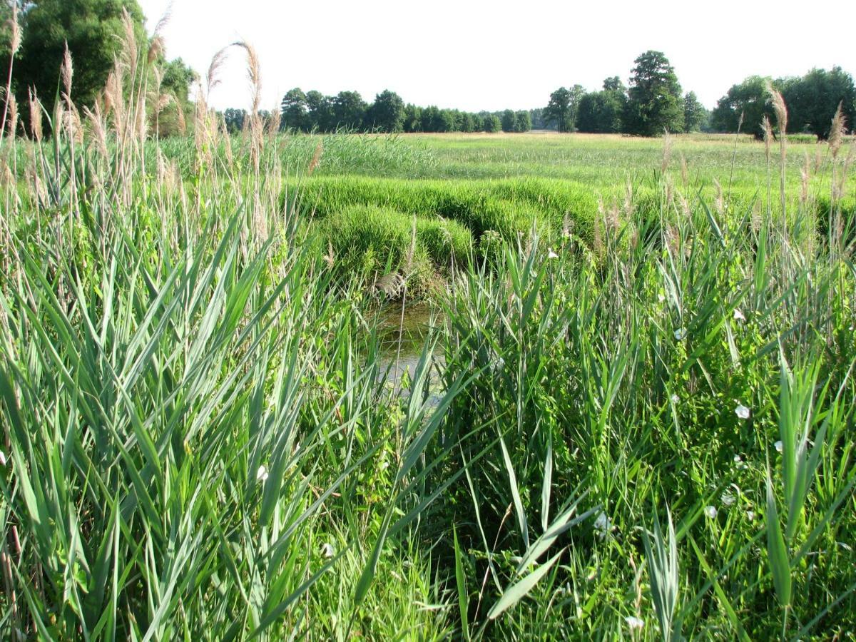 Strefa Kampinos Vila Brochów Exterior foto