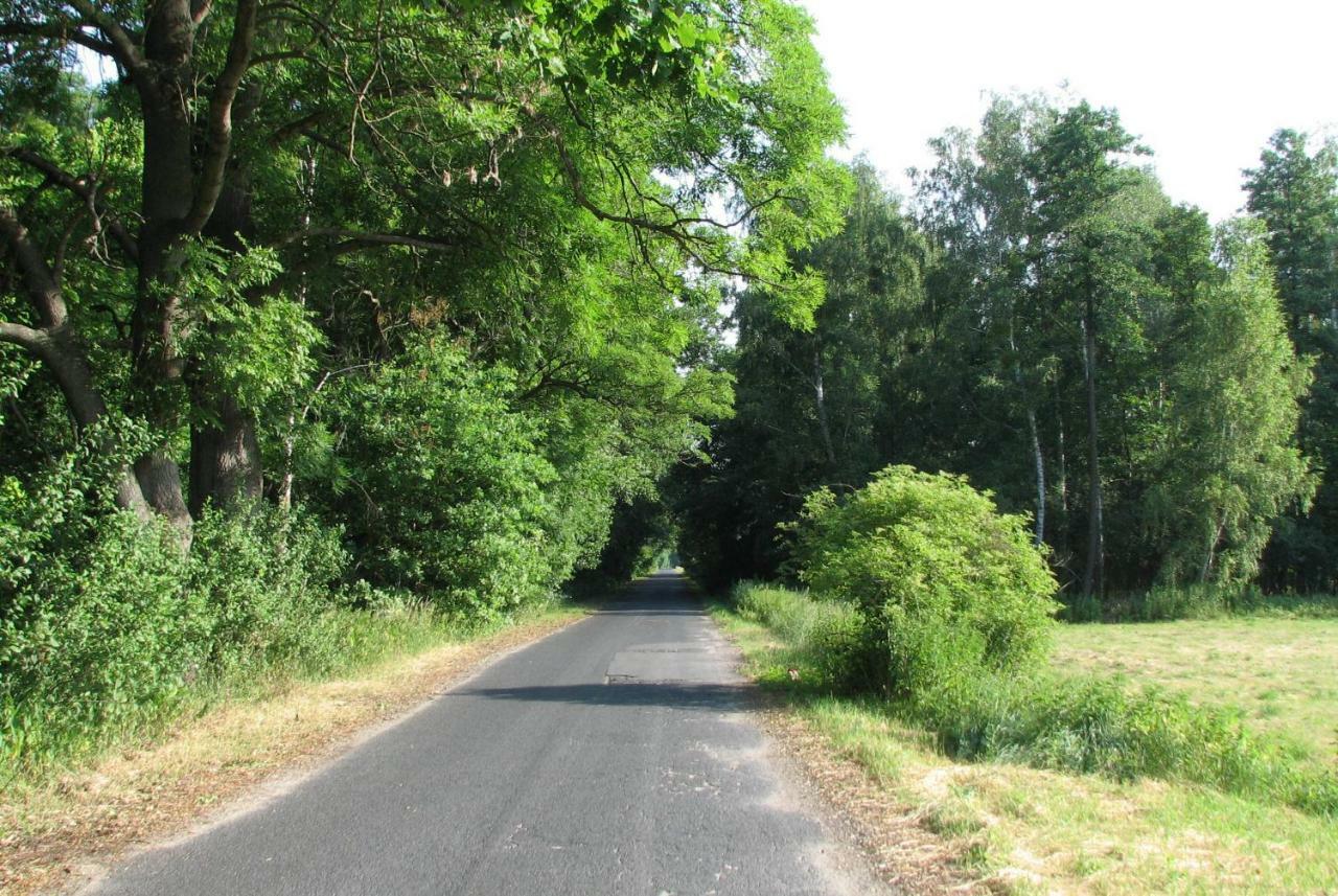 Strefa Kampinos Vila Brochów Exterior foto