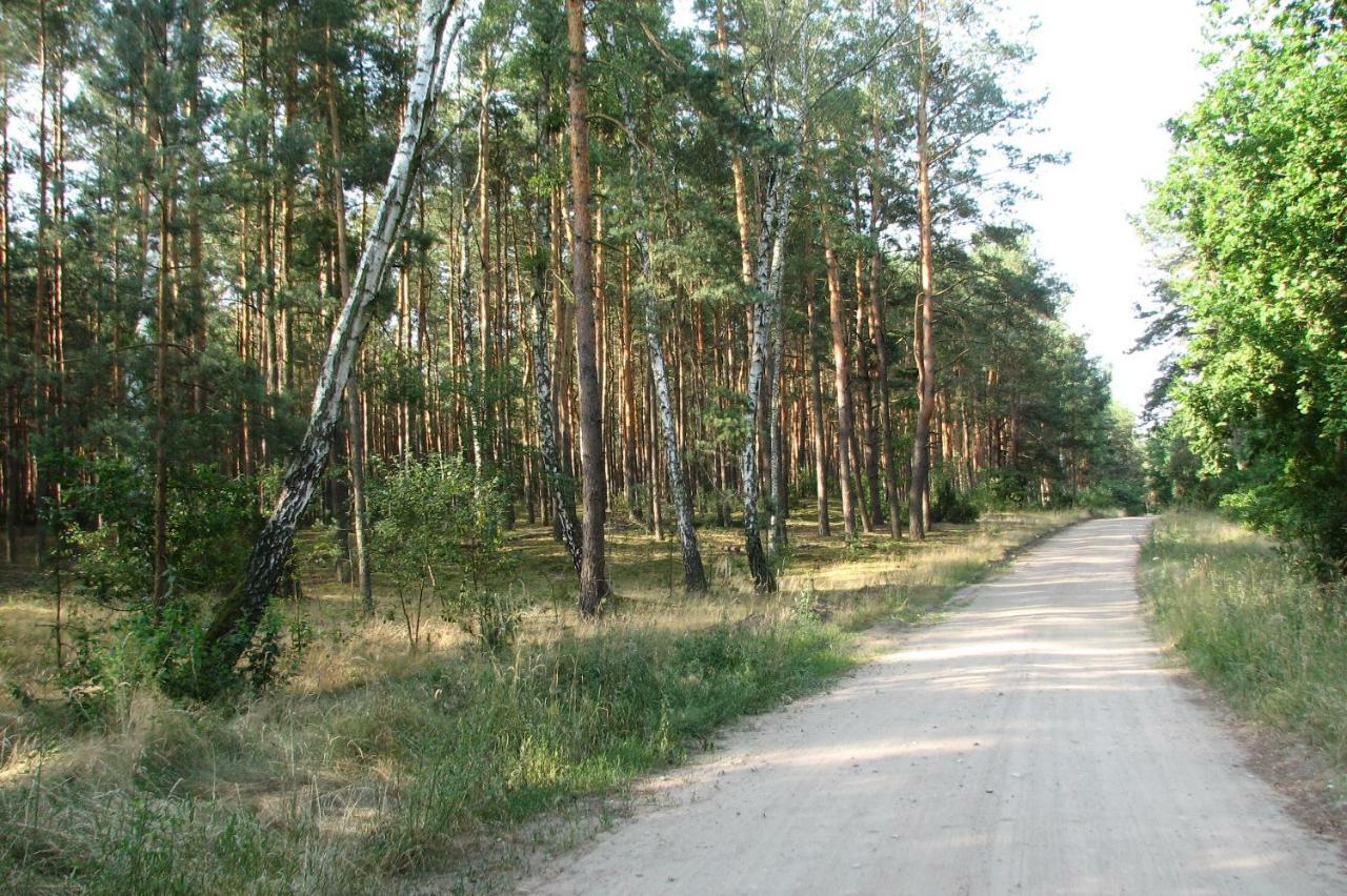 Strefa Kampinos Vila Brochów Exterior foto