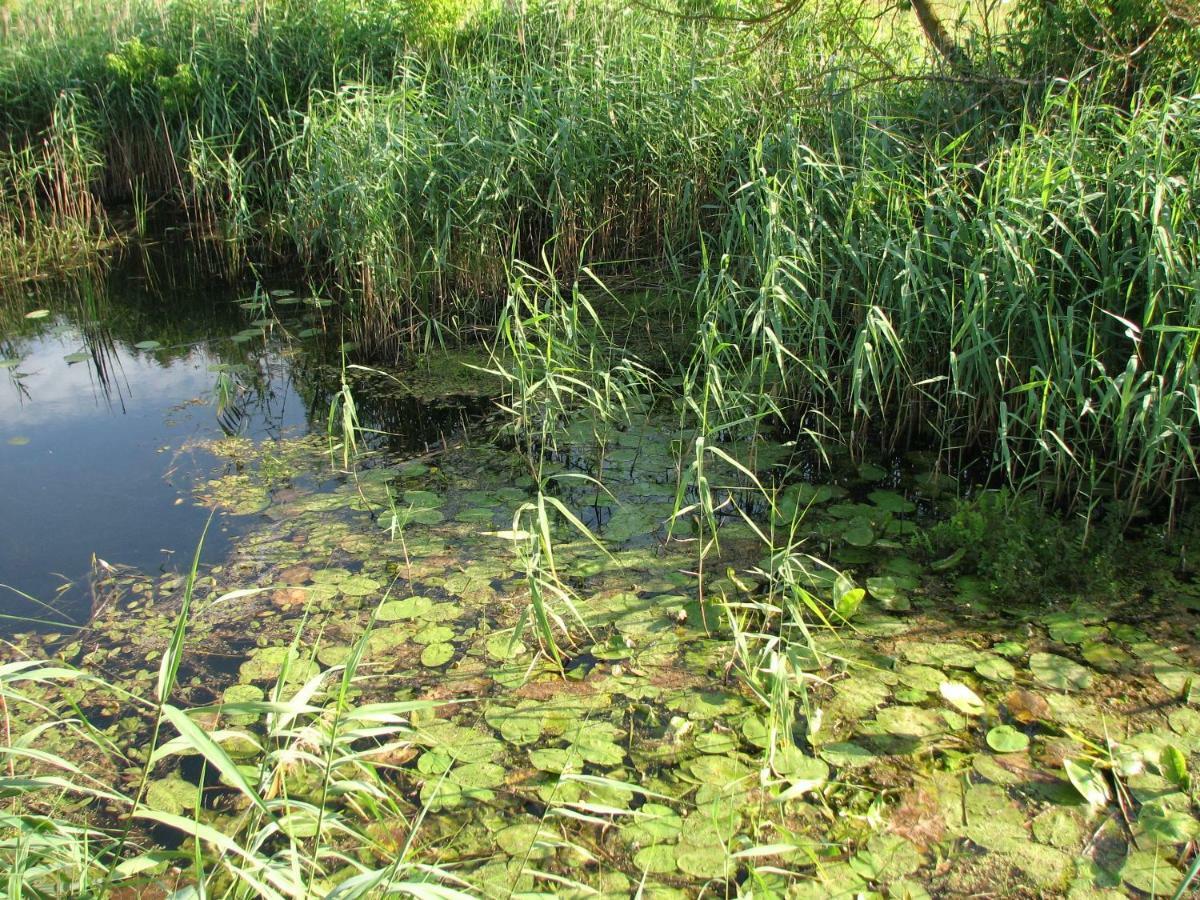 Strefa Kampinos Vila Brochów Exterior foto