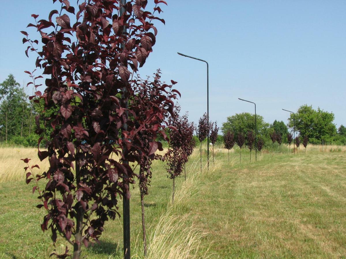 Strefa Kampinos Vila Brochów Exterior foto