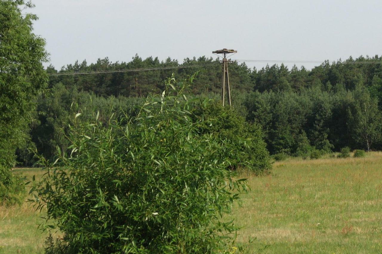 Strefa Kampinos Vila Brochów Exterior foto